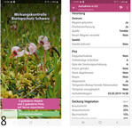 8 Eine eigens entwickelte App ermöglich das Einpflegen der Kartierergebnisse vor Ort.