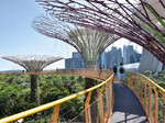 Abb. 6: Singapur, Gardens by the Bay mit Skyway und Supertrees