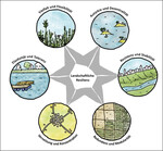 Abb. 9: Einflussfaktoren landschaftlicher Resilienz ( Schmidt 2020: 94).