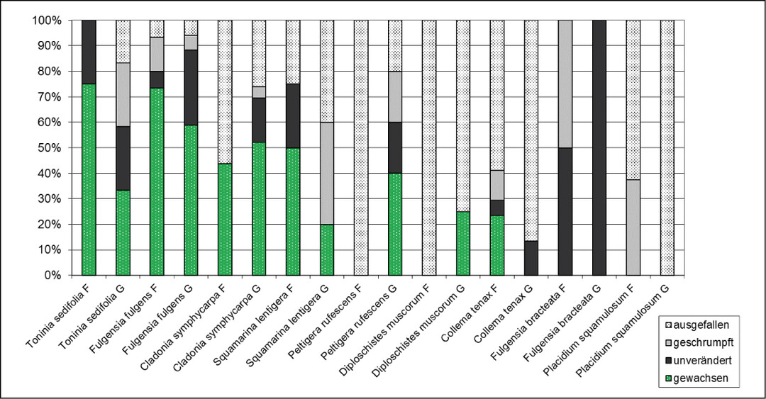 Abb. 5 : Entwicklung der verschiedenen Arten und Varianten, jeweils hochgerechnet auf 100 % (F = Freiland, G = Gewchshaus); Entwicklungszeitraum 6 Monate.