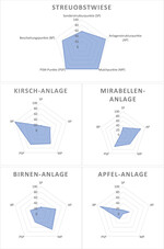 Abb. 4: Darstellung der erreichten Punkte und der Deckungsfläche im Netzdiagramm.