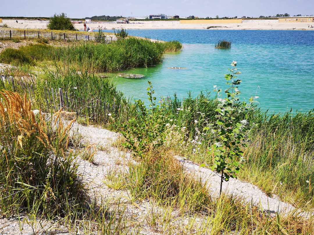 1 Der See in Aspern ist ein knstlich angelegter Teich der neuen Seestadt.