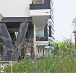 2 Das Spektrum von Knollconsult ist breit gefächert, begonnen von naturnahen Wiesenflächen im Siedlungsraum (Biotope City Wienerberg ...