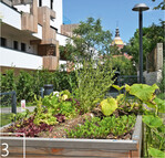 3 ... über Projekte im Rahmen der „Essbaren Stadt" (Biotope City Wienerberg...