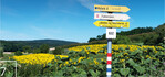 7 Sanfter Tourismus ist ein wichtiges Thema – sowohl am Land (Jakobsweg, Weinviertel) ...