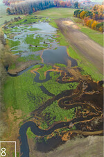 8 Innerhalb kürzester Zeit vernässte die renaturierte Fläche.