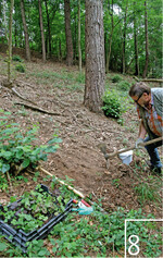 8 Härtl bei der Pflanzung von Frauenschuh am Naturstandort.