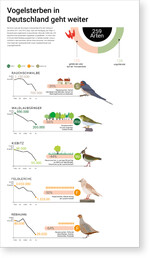 Auswahl einiger besonders stark zurückgegangener Brutvogelarten in Deutschland