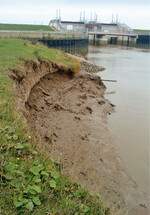 Erosionen an der Tidepolderverwallung hinter dem Sturmflutsperrwerk