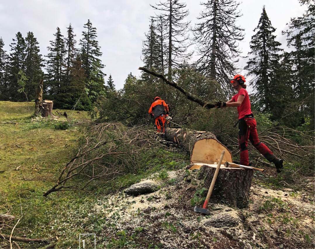 1) Arbeitseinsatz im Valle de Joux