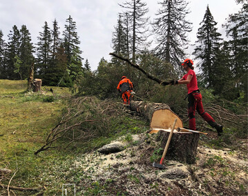 1) Arbeitseinsatz im Valle de Joux