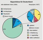 <strong>Abb. 1: </strong>Sippenbilanz der Flora Deutschlands (nach Klingenstein 2004). Balance of clans of the Flora of Germany.