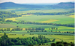 <strong>Abb. 5: </strong>Ackerbaulich geprägte Kulturlandschaft mit zahlreichen Gehölzstrukturen und charakteristischen Kuppen- und Plateaubergen im Naturpark Habichtswald.
Agricultural landscape with numerous hedges and characteristic hills and plateaus in the Nature Park Habichtswald.