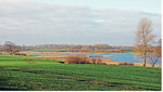 <strong>Abb. 6: </strong>Gewässergeprägte, überwiegend ackerbaulich genutzte Kulturlandschaft im Naturpark Schlei mit das Landschaftsbild prägenden Röhrichtbereichen und markanten Einzelbäumen.
Cultural landscape dominated by fields in the Nature Park Schlei. The visual landscape is characterised by wetlands with reed zones and distinctive solitary trees.