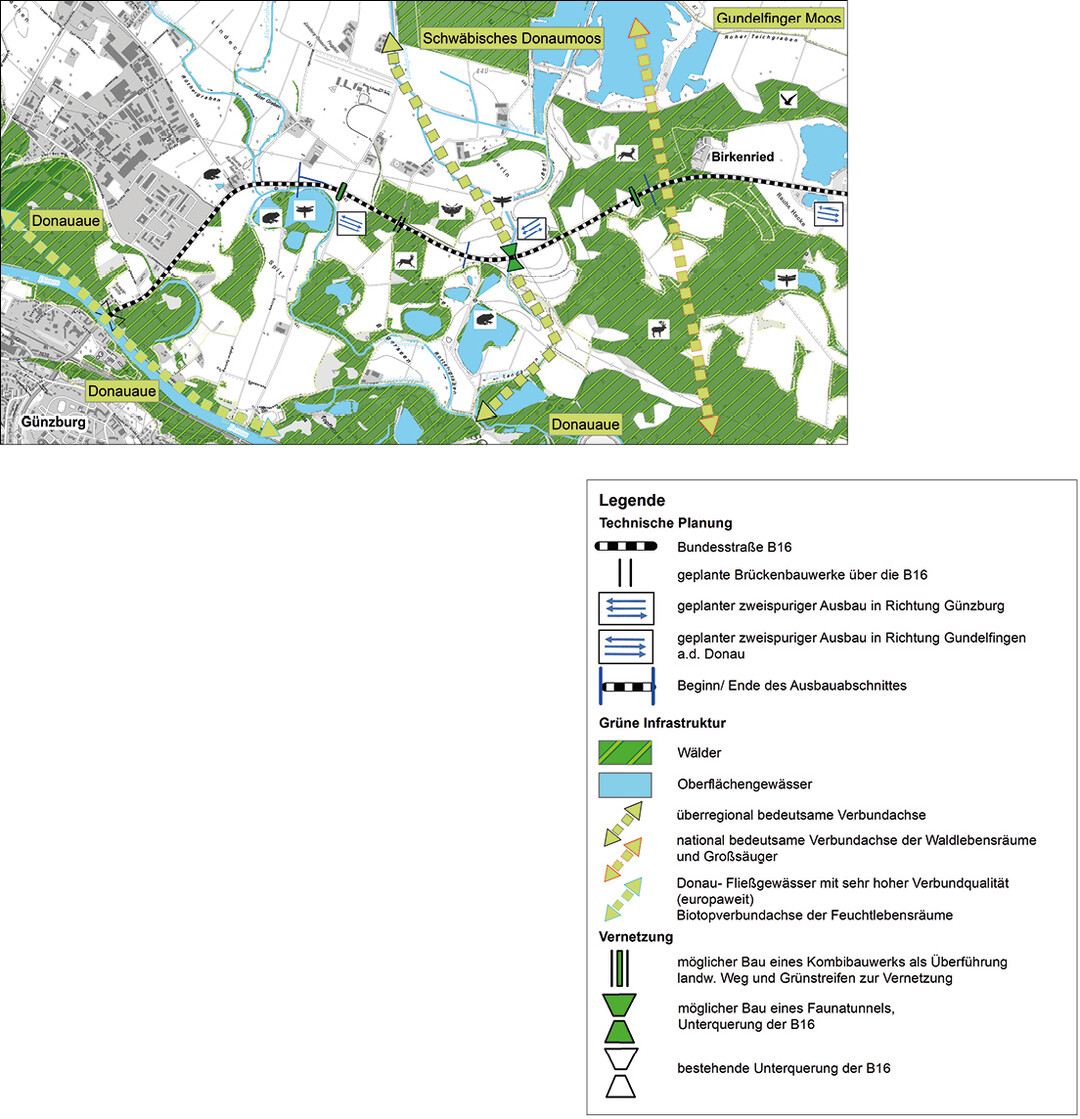 Abb. 1: Plan zur Vernetzung: Darstellung der bedeutenden Verbundachsen und Lebensrume im Untersuchungsgebiet von Gnzburg bis Birkenried mit Nachweisen von Arten entsprechend der Artenschutzkartierung des Bayerischen Landesamtes fr Umwelt.