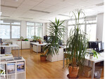 4 Die großen Räume des Büros sind gut strukturiert und von den Mitarbeitern selbst begrünt.