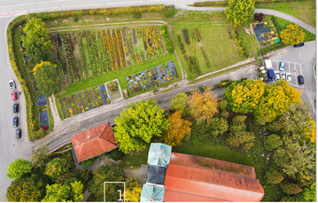 1 Auf dem Gelnde der Stadtgrtnerei wurden groe Flchen fr die Anzucht der autochthonen Arten bereitgestellt.