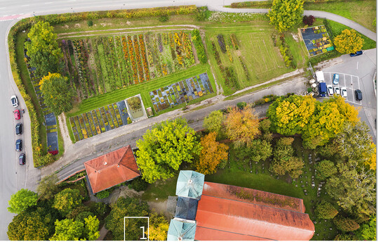 1  Auf dem Gelnde der Stadtgrtnerei wurden groe Flchen fr die Anzucht der autochthonen Arten bereitgestellt.