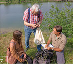 7 Die Projektverantwortlichen gehen beim Sammeln sehr sorgfältig vor.