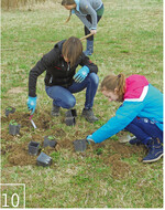 10 und 11 Bei Auspflanzaktionen dürfen auch mal Schulklassen mit anpacken.