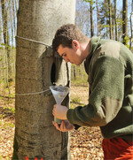 Simon Thorn beim Leeren einer Insektenfalle im Nationalpark Bayerischer Wald.