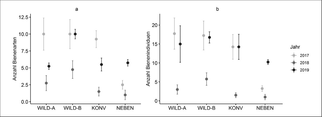 Abb. 3: Entwicklung der mittleren Anzahl von Wildbienenarten (a) und -individuen (b) auf den drei Varianten des Blockversuches sowie auf dem direkt danebenliegenden Weinberg ber die Untersuchungsjahre mit Angabe des Standardfehlers. KONV = konventionelle Gras-Klee-Ansaat, WILD-A = hherwchsige Wildpflanzenmischung, WILD-B = niedrigerwchsige Wildpflanzenmischung, NEBEN = konventionell begrnter Nachbarweinberg.
