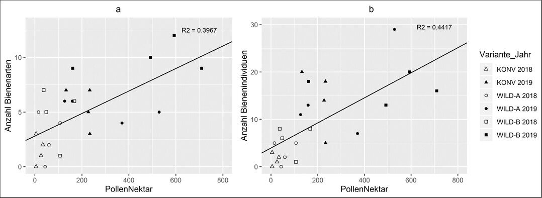 Abb. 4: Mittlere Anzahl an Wildbienenarten (a) und -individuen (b) in Abhngigkeit von dem verfgbaren Pollen- und Nektarangebot in den Untersuchungsjahren 2018 und 2019. KONV = konventionelle Gras-Klee-Ansaat, WILD-A = hherwchsige Wildpflanzenmischung, WILD-B = niedrigerwchsige Wildpflanzenmischung. R2 = Korrelationskoeffizient.