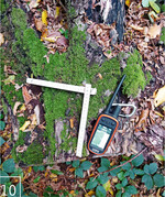 10 Losungsfunde werden dokumentiert, vermessen und eingesammelt.