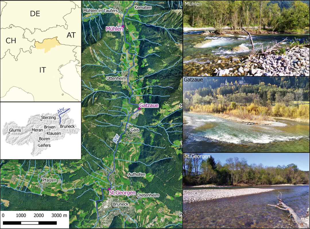 Abb. 1: Untersuchungsabschnitte des Makrozoobenthos entlang der Unteren Ahr in Südtirol (Norditalien).