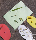 12 Auch für Kinder werden Grünland-Exkursionen angeboten.