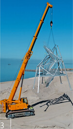 3 Aufstellen des Aussichtsturms für Vogelbeobachter