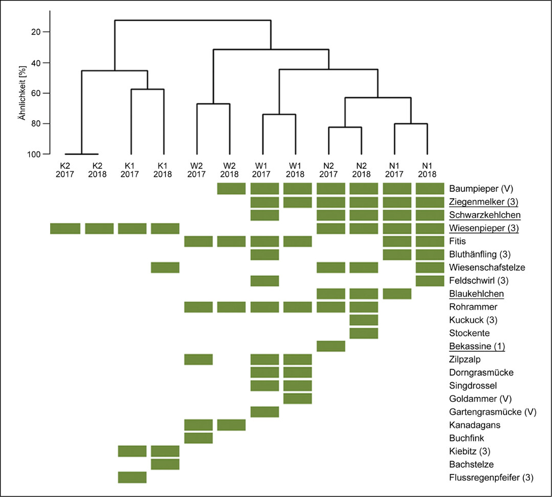 Abb.5: hnlichkeit der Brutvogelgemeinschaften (Grn = Vorkommen mit Brutverdacht oder -nachweis) zwischen den Untersuchungsgebieten (K = Kultivierung, W = Wiedervernssung, N = Naturnah) und Jahren anhand des Srensen-Index. Hochmoortypische Arten sind unterstrichen, der Gefhrdungsstatus (V = Vorwarnliste, 3 = gefhrdet, 2 = stark gefhrdet, 1 = vom Aussterben bedroht) gem der Roten Liste von Niedersachsen und Bremen (Krger & Nipkow 2015) wird in Klammern hinter der Art aufgefhrt.