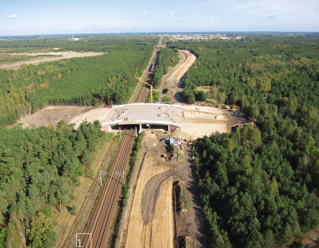 1 Bau einer Grünbrücke in Luckenwalde (Brandenburg)