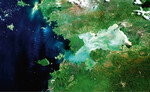 Satellitenbild der Kisumu-Bucht am Victoriasee (Afrika): Immer wieder beeinträchtigen Algenblüten-Teppiche die Wasserqualität.