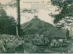 <strong>Abb. 4a: </strong>Postkarte vom Kapellenberg von 1904. Gut sichtbar unterhalb der Kapelle sind die gehölzfreien Terrassen der ehemaligen Weinanbauflächen, die den Hang deutlich gliederten. Quelle: unbekannt 4a: Postcard of the “Kapellenberg (chapel hill) from 1904. Below the chapel terraces of former wine yards without any woody vegetation are visible.