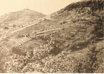 <strong>Abb. 6a: </strong>Blick von Hirschau auf die Wurmlinger Kapelle und die Weinberge am Hirschauer Berg im Jahr 1940. Auffallend ist die starke Terrassierung, die zahlreichen Weinanbauflächen sind von Streuobstwiesen umgeben. © Müller et al. (1966), Foto: Schwenkel 6a: View from Hirschau to the chapel of Wurmlingen and the wine yards of Hirschau in 1940. Well visible are the terraces, extensive wine yards and some orchards surrounding the wine yards.