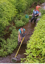 Abb. 7: Praktische Grundlagen für konkreten „hand-on Naturschutz“. Eine Naturschutzfachkraft soll zentrale Freilandtechniken nicht nur theoretisch kennen, sondern auch praktisch beherrschen. In diesem Fall erfolgt das Abfischen eines Bachlaufes mit tels Elektrobefischung.