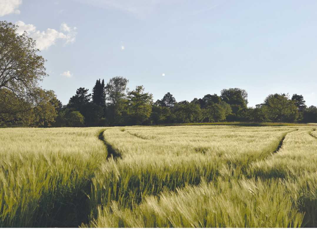 Klima- und umweltfreundliche Landwirtschaft soll gefördert werden. Das forderten Landwirte und NGOs bei der Agrarwende-Demo in Straßburg.