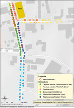 Abb.  1: Lageplan der Versuchsbäume.