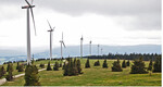 Abb. 1: Teilansicht des Windparks Steinriegel.