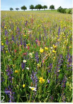 2 Die Auswahl geeigneter Spenderflächen muss sehr sorgfältig erfolgen.