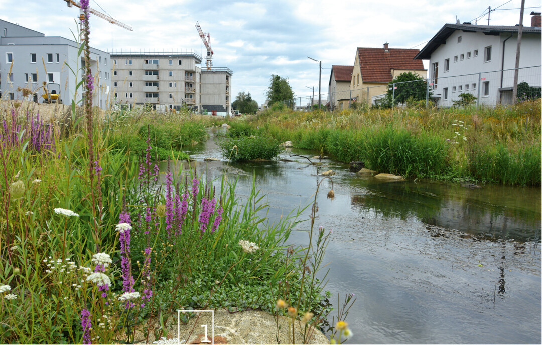  1 Revitalisierung Aumhlbach: Ein verrohrter Bach wurde im Zuge eines Wohnbauprojekts an die Oberflche geholt und naturnah gestaltet. 