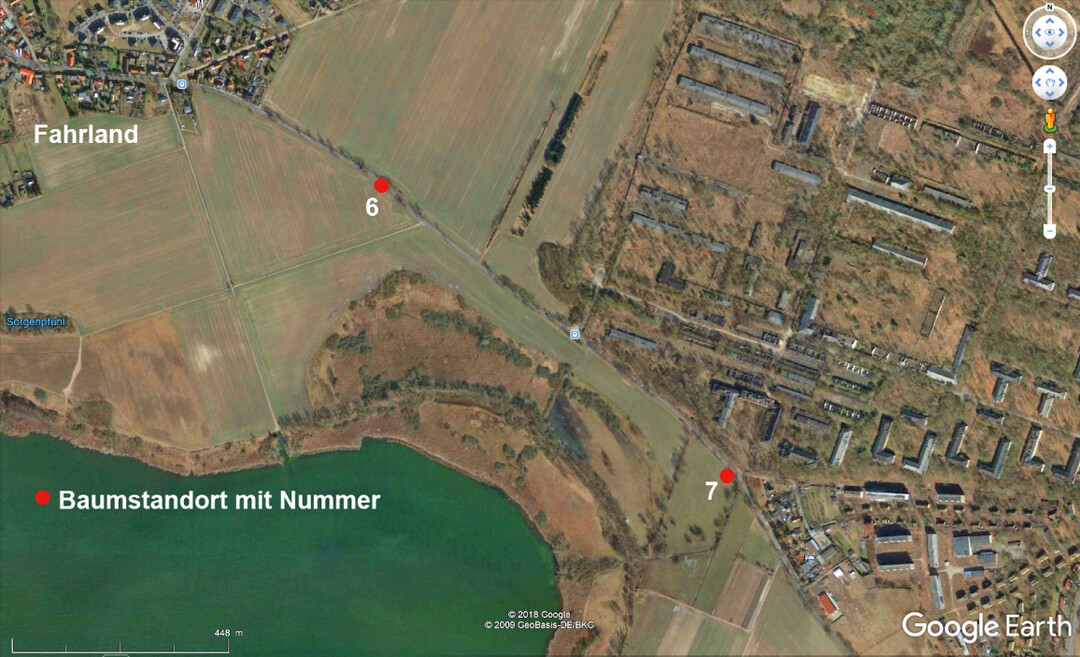  Abb. 2: L92 stlich von Fahrland, Standorte der untersuchten Bume (Alteichen) 