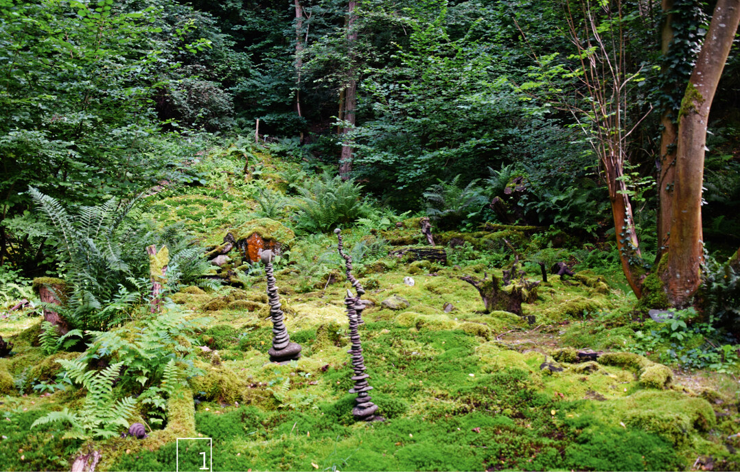1 Mehr als 80 Moosarten beherbergt der Moosgarten.