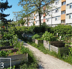 3 Zahlreiche Urban-Gardening-Projekte und Kleingartenvereine in Frankfurt beteiligen sich am Projekt und bieten Gelegenheiten, in der Stadt zum gemeinschaftlichen Gärtnern und zur Auseinandersetzung mit der Insektendiversität.