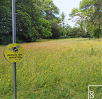8 Das Grünflächenamt Frankfurt ist Praxispartner, pflegt zahlreiche Flächen bereits insektenfreundlich und markiert sie mit Hinweisschildern.