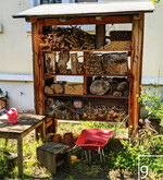 9 Mitmach- und Vermittlungsangebote in Schulen und Kitas bieten Gelegenheit, mehr über Insektenvielfalt zu lernen.