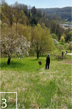 3) Die Maßnahmen werden regelmäßig auf ihren Erfolg überprüft: per Handfang, …