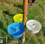 4) … mithilfe von Farbschalen-Monitoring …