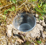 5) … oder mit Bodenfallen.